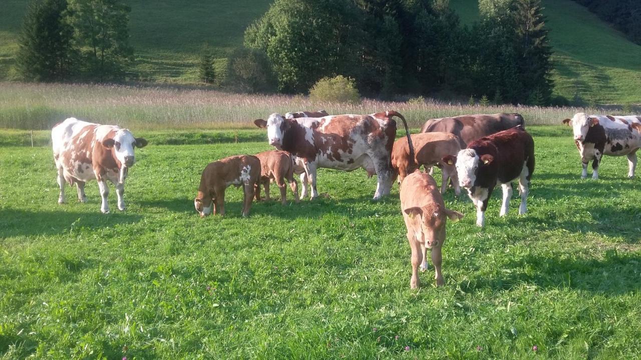 Ferienhof Ammann Bad Hindelang Buitenkant foto