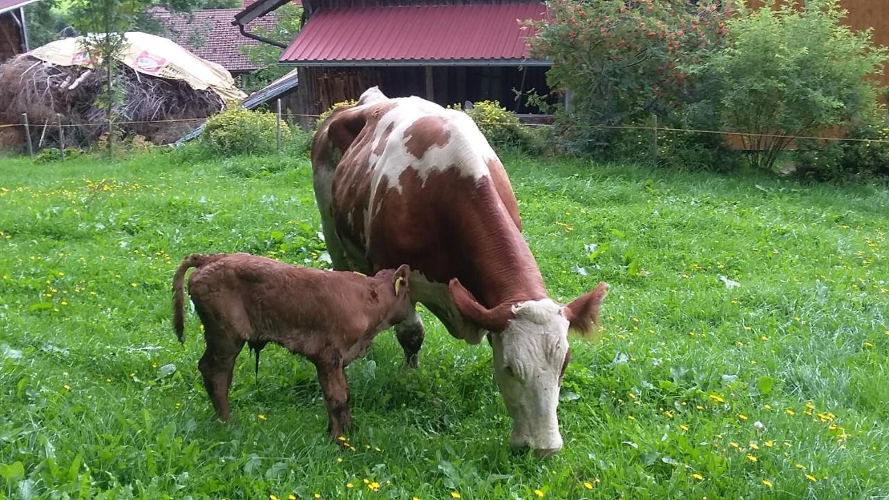 Ferienhof Ammann Bad Hindelang Buitenkant foto